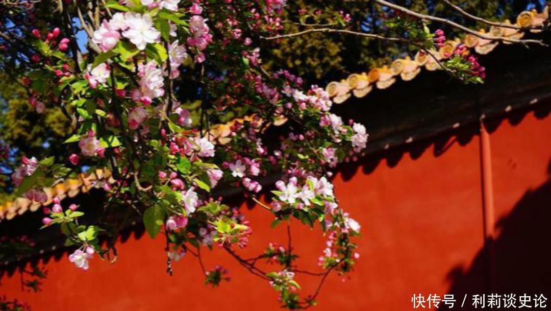 朱熹这首诗年年入选小学课本,但是想要读懂,还真要下一番功夫!