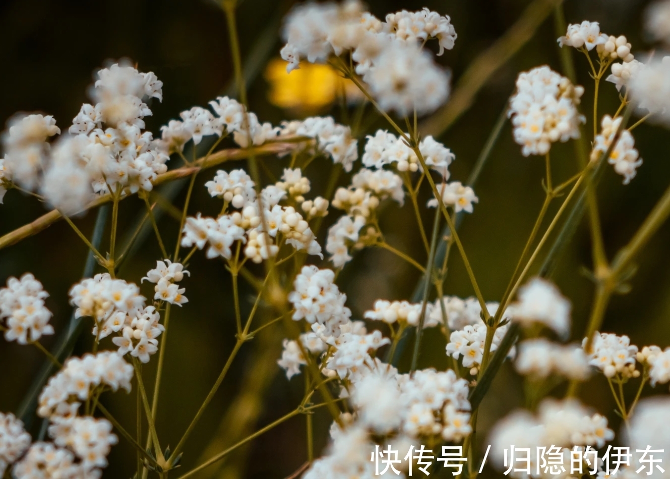 高情商怎么找前任复合聊天,重新牵手:如何通过高情商聊天技巧找回前任