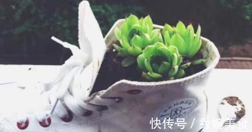 养花还在买花盆学会一招，再不用多花一分钱，一捡一大堆