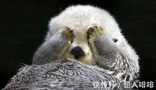 30个冷知识:真实存在于世界,但却鲜为人知的奇怪知识