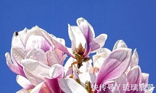 红娘|下周,红娘搭线,收入大涨,反反复复,寻到真爱,幸福一生