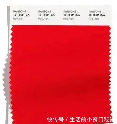 色彩 2021年十大秋冬流行色来了,很美很特别,你的衣橱中有几个!