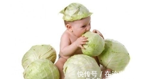 食物|胃不好,几种食物换着每天吃一点,修复胃黏膜,养出好胃!