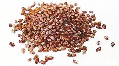 涌泉穴|牢记中风9大先兆，识别中风只需10秒！1个妙招，远离中风