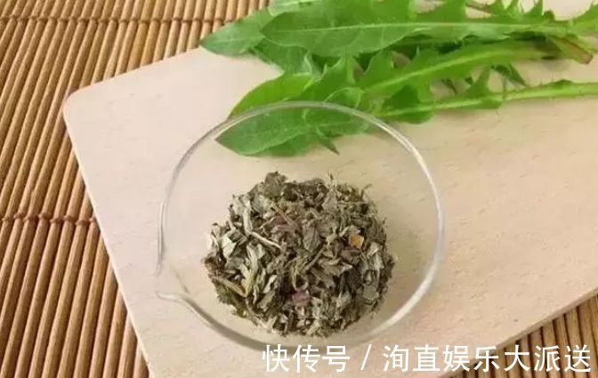 肠炎者|自己“晒干”的蒲公英,能当茶泡水喝吗有什么“禁忌”吗
