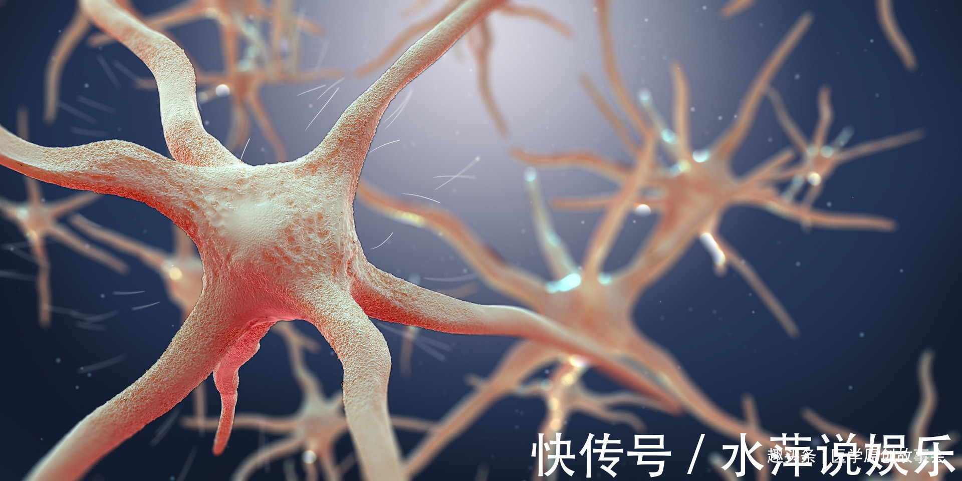 老邓|癌症根本治不好,晚期癌症只能活活痛死一个医生终于讲出了实话