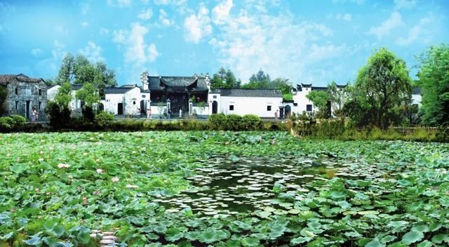 山间|此生必走一次缠绕浙闽山间的千年古道,真正的好山好水,遗世独立