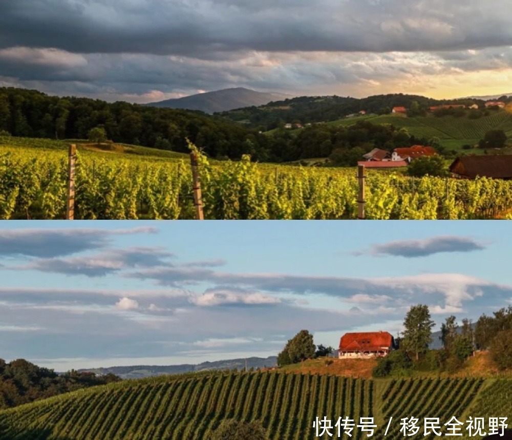 葡萄酒|斯洛文尼亚,葡萄酒乡的微醺时光