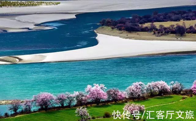 桃花|2022年的春天，期待一场林芝桃花与蓝冰的邂逅