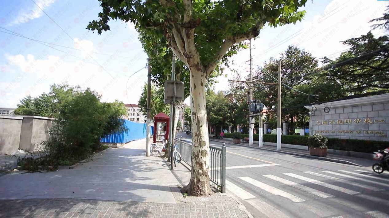 杨浦两宗纯宅地，未来上海市中心的10万+新盘？|赶“集”②| 航拍