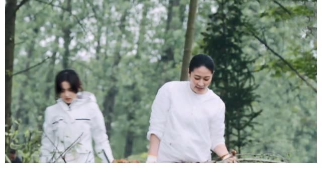 倉(cāng)庫(kù)|《向往5》導(dǎo)演斥巨資，為種51棵數(shù)請(qǐng)10位嘉賓，吃飯都得輪著上桌