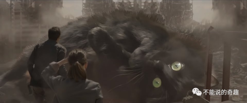 |拳拳到肉,情节可紧张可搞笑,美国夫妻将家猫放进各式电影超有趣