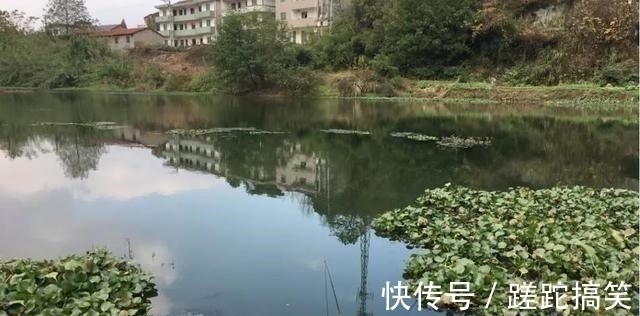 野钓|秋冬季野钓的真实状况,没多少人愿意讲实话,因为现实很残酷