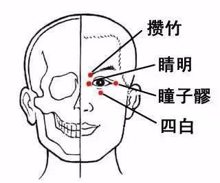  眼干眼涩眼疲劳？给“器官劳模”放放假吧