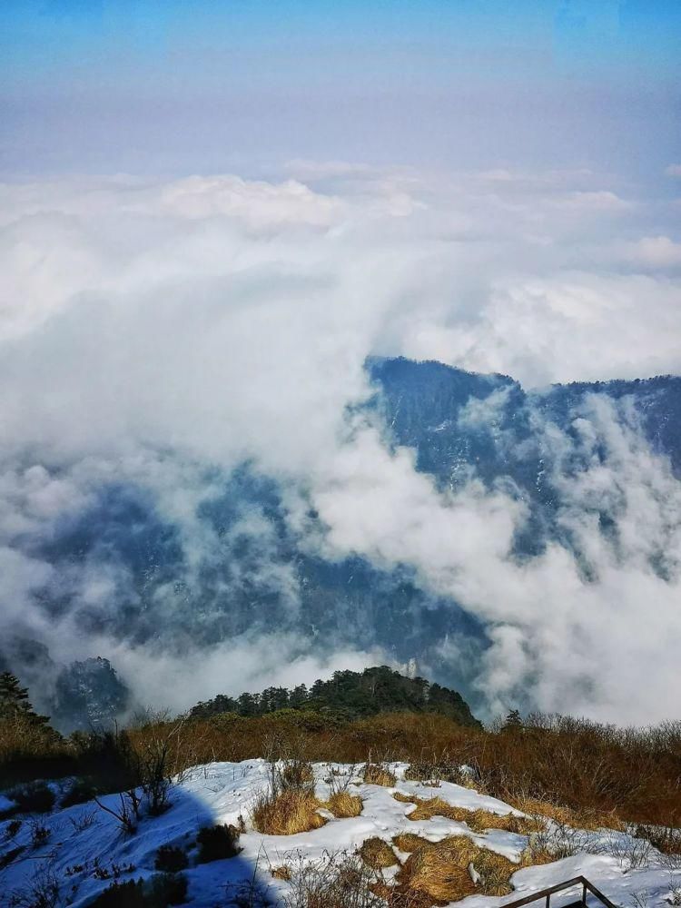 趁着错峰我去了趟峨眉山，不排队全山上下耍个够！