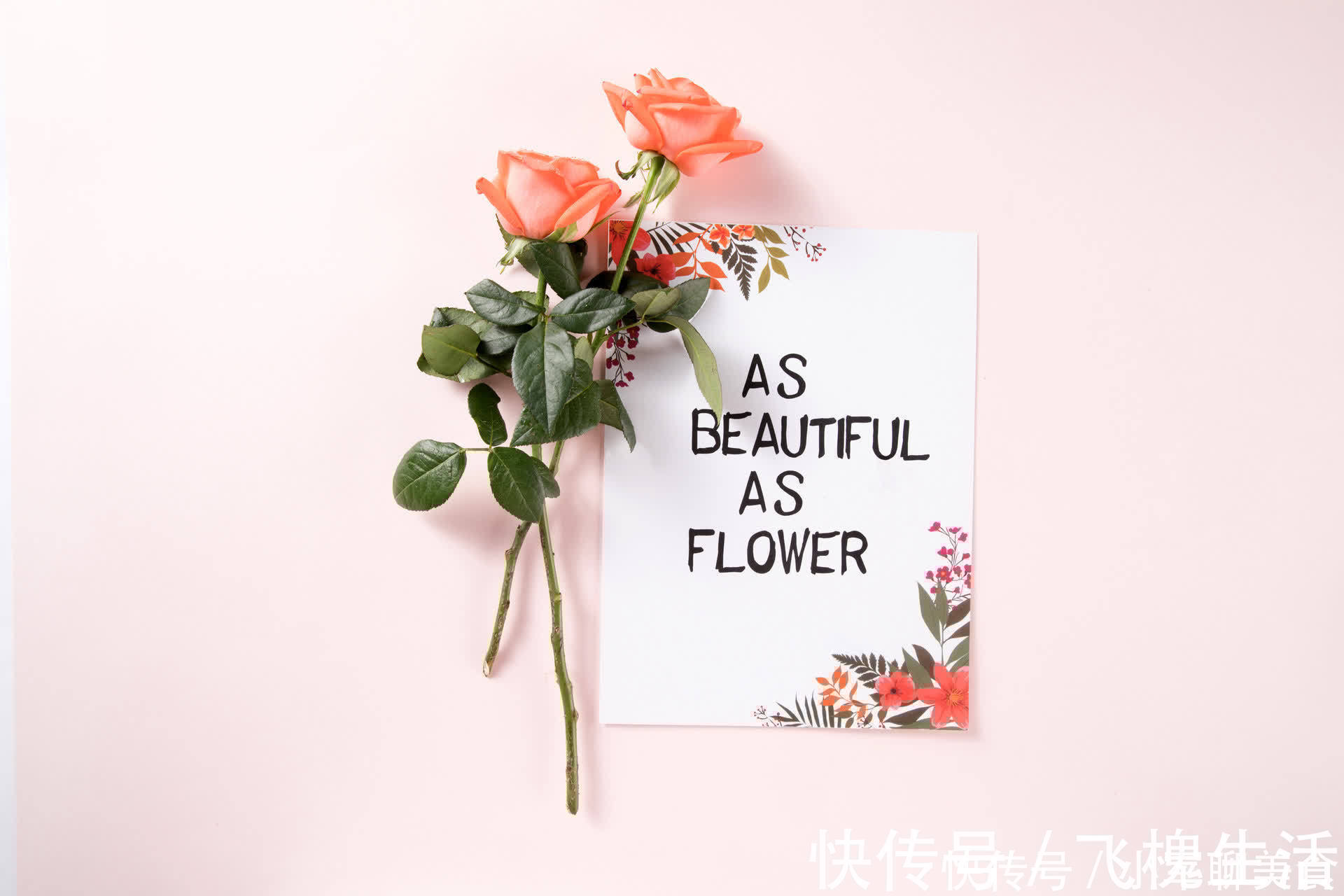 甜蜜蜜|夫妻生活中，“折腾”是一种聪明的经营方式