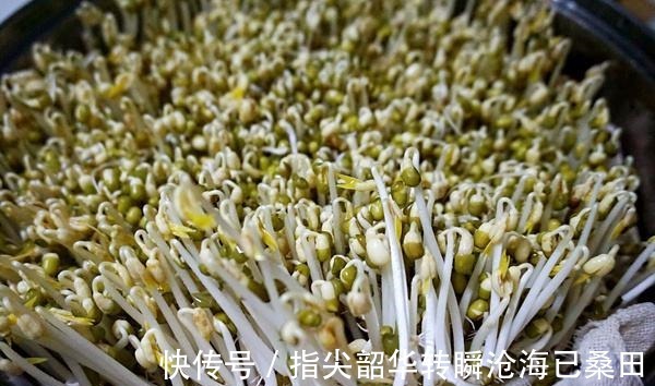 脆嫩|刚知道,原来发豆芽真简单,3天就能吃,脆嫩新鲜,比买的还好