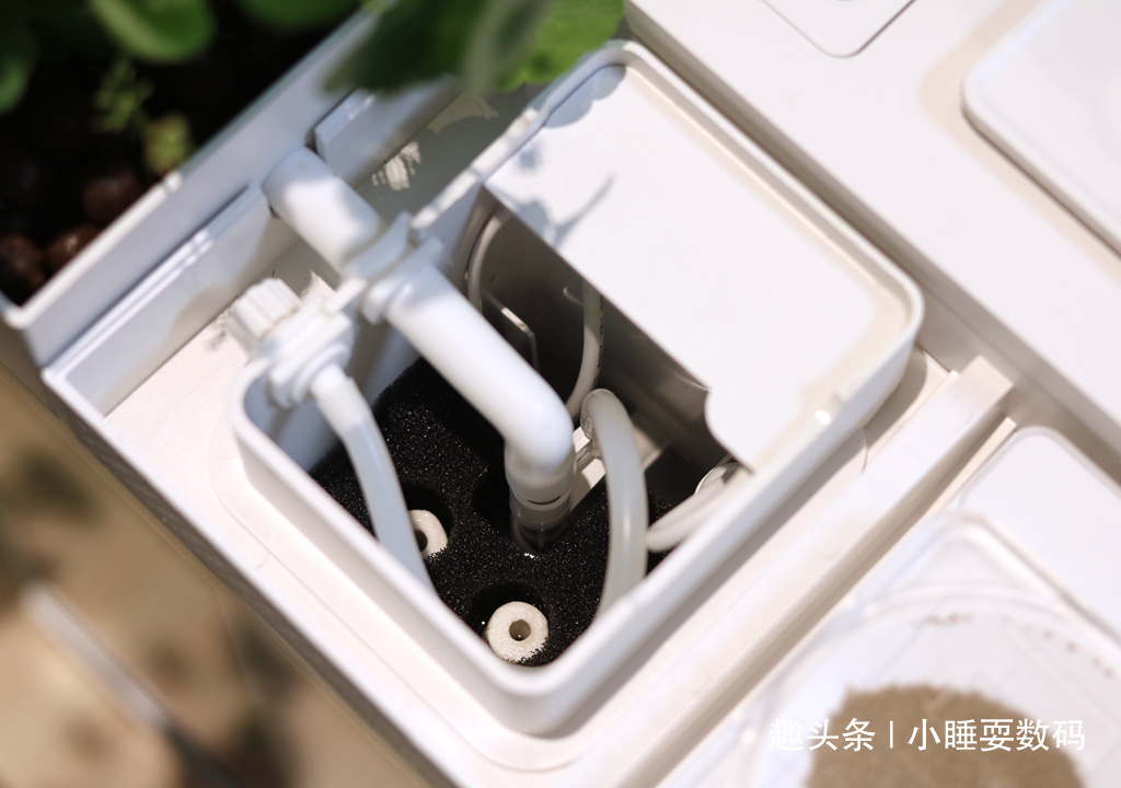 哪种鱼缸更适合养鱼画法几何AI智能鱼缸，水质监测还能自动喂食