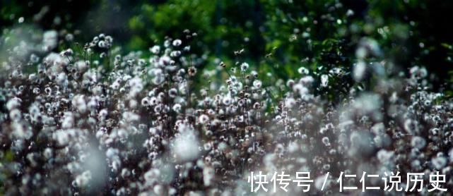 美好的时光!教人知道已春深,十首春深的诗词,去珍惜春天的每一寸时光!