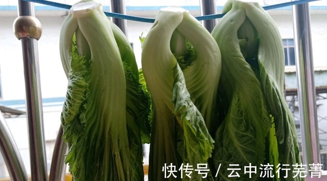 腌酸菜时，难怪腌制出的酸菜不好吃还会腐烂，那是没有多加这一步！