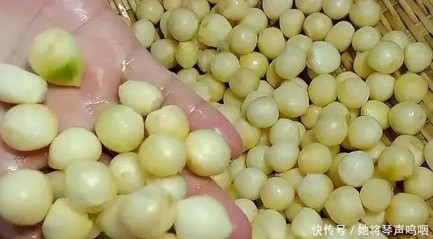 冬季进补，鸡牛羊都没它好，炖一锅滋补又美味，孩子常吃免疫力强