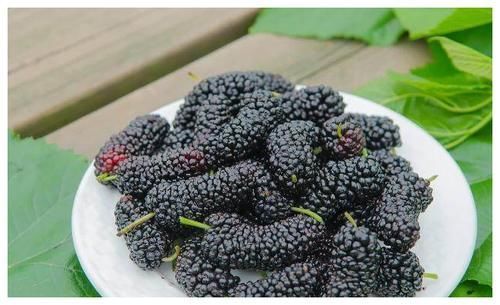 红豆|大姨妈走后,女人尽量多吃这些天然“雌激素”,给卵巢“洗个澡”