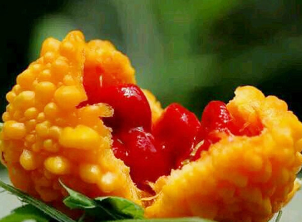 子宫|女性40岁后,多吃4种“排毒果”,排出毒素,净化血液,滋养子宫