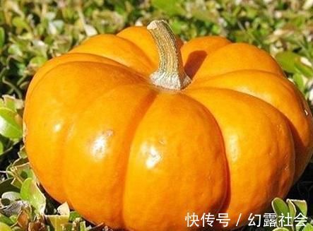 增糖|吃南瓜是降血糖，还是增糖，不要相信不可靠的谣言，要相信科学