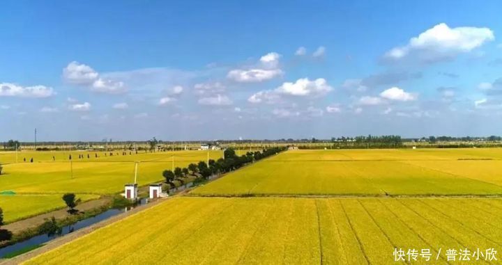 政府|明明征地是政府的事,为什么老是开发商初面谈事情?
