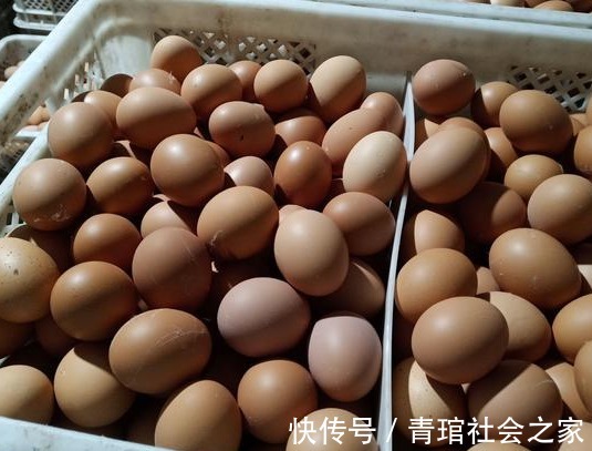 蛋白质|关于养肝护肝,这九种食物吃多了会使肝脏受伤