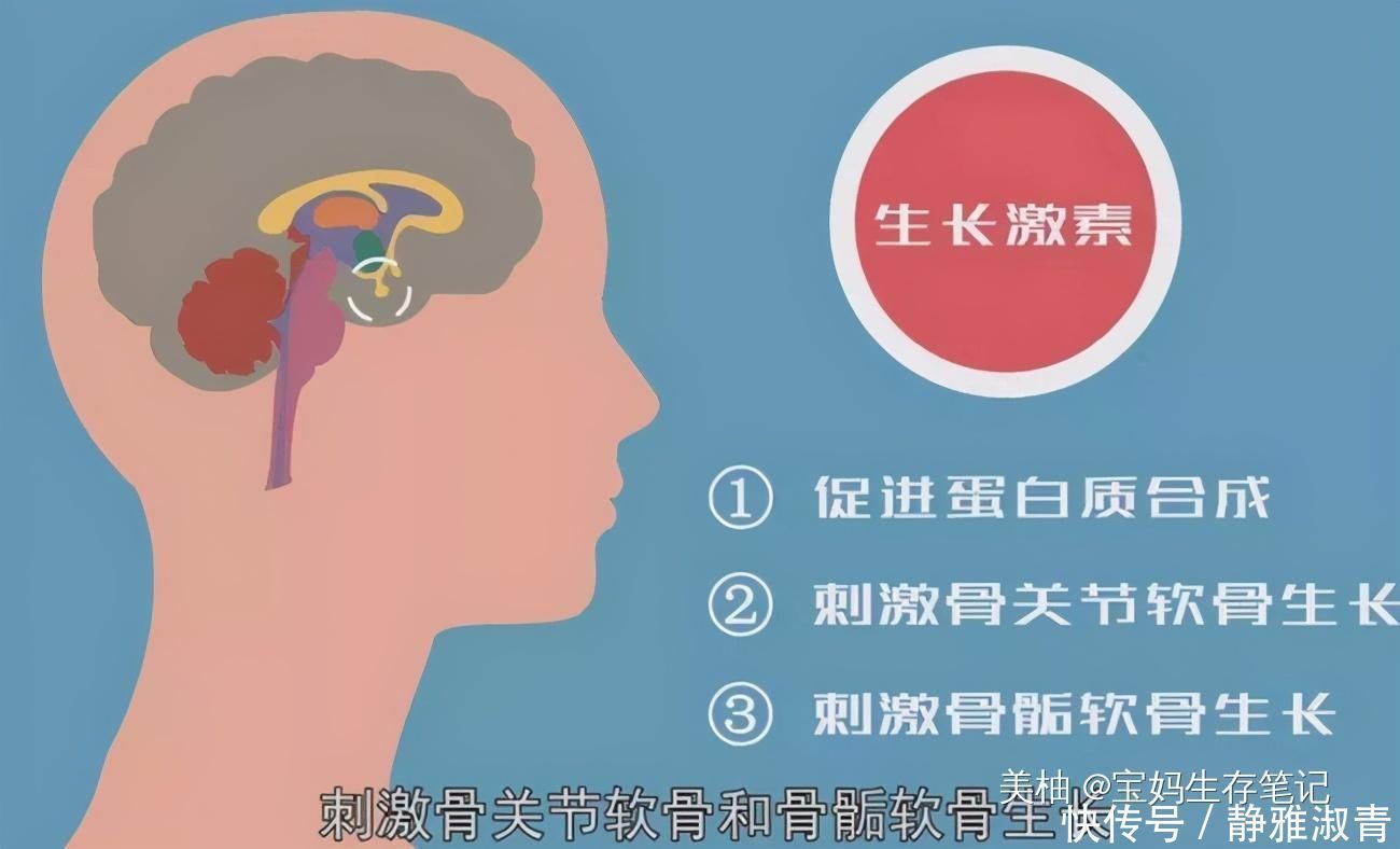 轻音乐|宝宝在这2个“黄金时间”睡觉,不但大脑发育好,还容易个子高