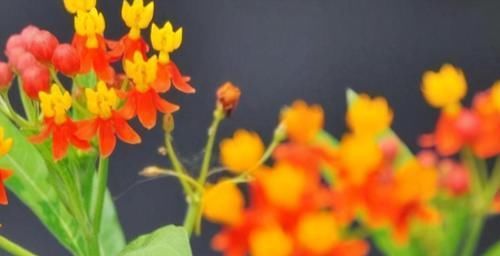 滋润|爱美女性可以吃3种食物，排毒养颜、滋润肌肤，早吃早受益！