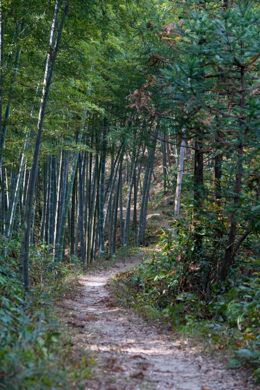 公路|安徽的“飞地”，本省人去要绕道浙江，为省内最后通公路的山村