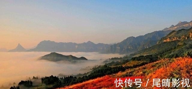 世界自然遗产|法国游客看到重庆“金佛山”，网友赞叹：这真是世界自然遗产！