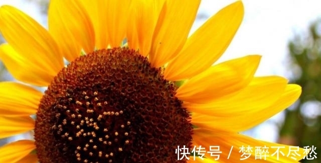 天后|从7月22日开始，邂逅旧爱，不再逃避，牵起双手，爱情甜甜蜜蜜