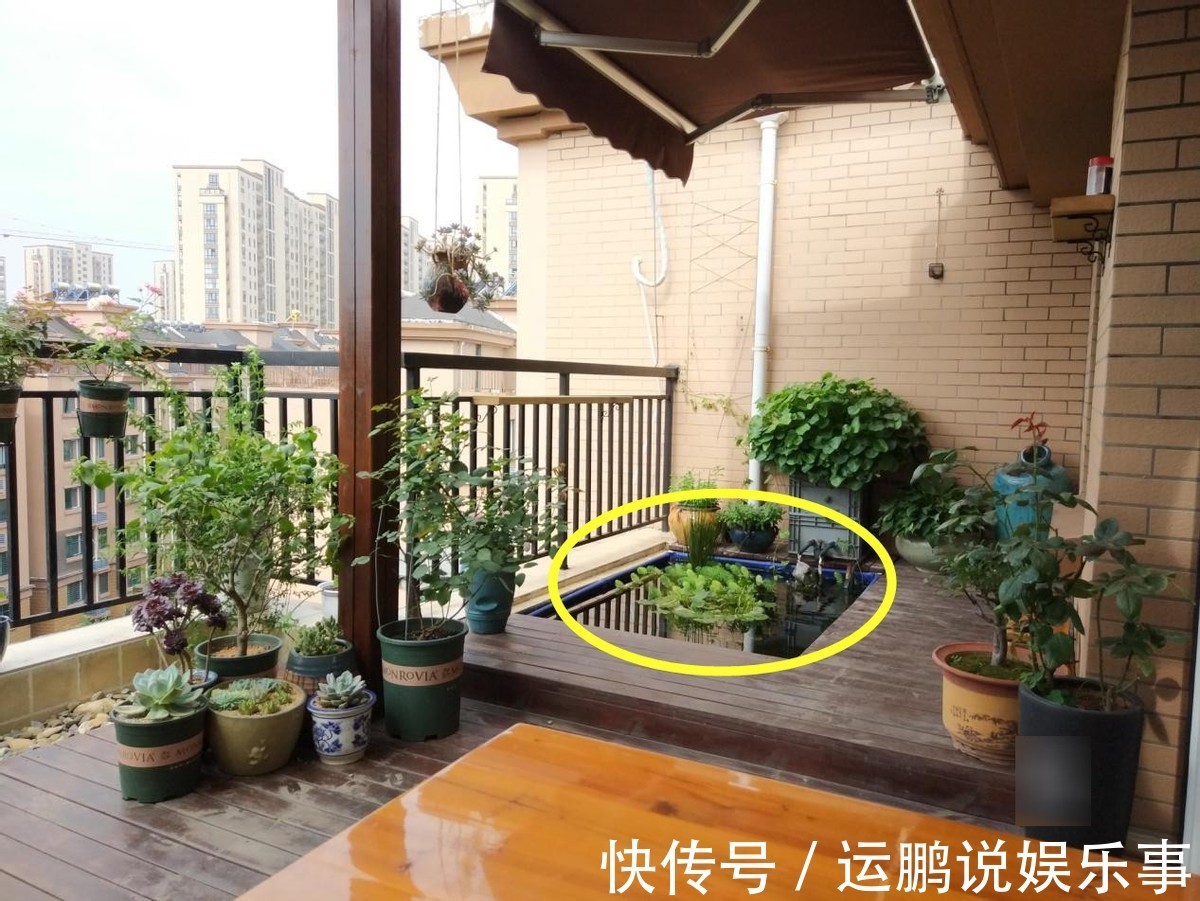 住高层这么干,阳台窗前20公分,用红砖围一圈水池,养鱼种花都好