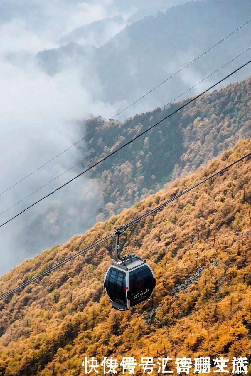 满山|秦岭深处满山红遍，绚丽多彩，惊艳着整个秋天