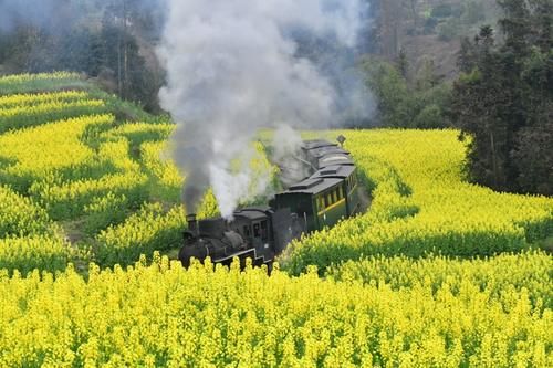 四川犍为：坐上开往花海的小火车