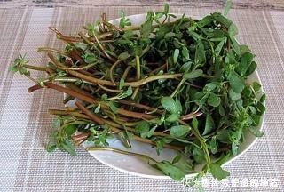 分泌|甲状腺结节的“元凶”找到了,三物常端上餐桌,甲状腺也会感谢你