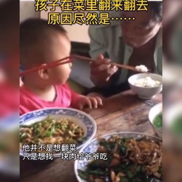 长辈|小男孩用筷子在饭菜里找肉,爸爸本想批评,可娃的举动暖到了众人
