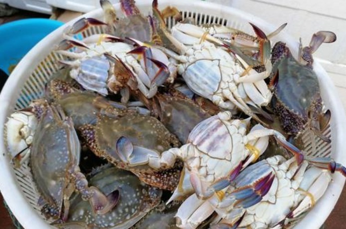 清蒸螃蟹,直接蒸是大错!多加1步,螃蟹不掉腿不流黄,鲜嫩美味