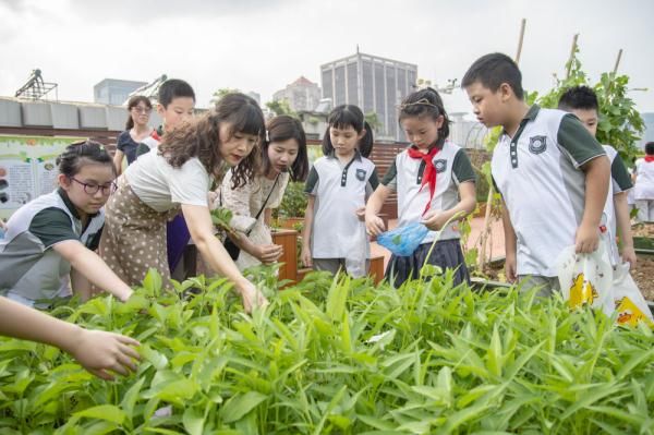 华中师范大学|武汉“双减”第一周孩子们在课后活动上玩“嗨”了