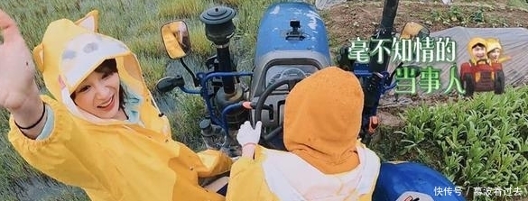 黄磊 杨紫张艺兴太好磕了 !简直就是偶像剧