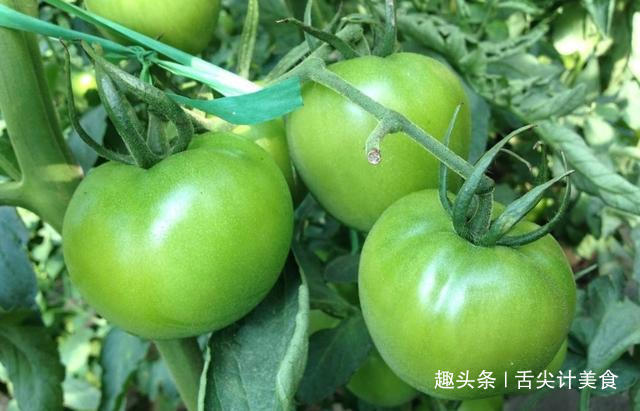 蕨菜|这几种蔬菜吃多了可能会致癌,宁可扔掉也不要吃,看看是哪些蔬菜