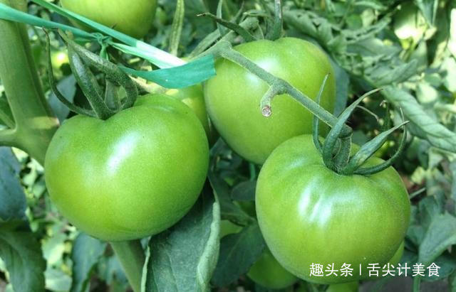 蕨菜|这几种蔬菜吃多了可能会致癌，宁可扔掉也不要吃，看看是哪些蔬菜