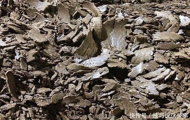 香蕉红薯做饵料,堪称鲤鱼“克星”,饵料入水鱼儿抢着咬