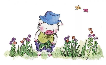 乌丢丢的奇遇|邯郸比较好的小学:智考小学暑期课外阅读书单推荐(一)