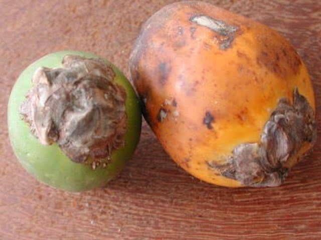 孩子|孩子最该少碰的4种水果,特别是最后三种,大人也要管住嘴