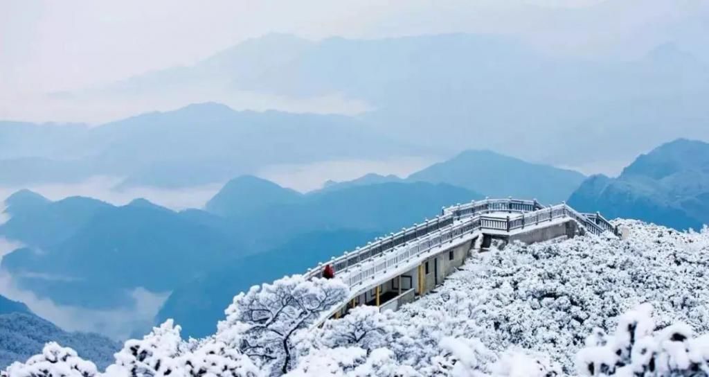 1小时飙拢！去重庆看雪！云海雪山森林，下山还能泡温泉！