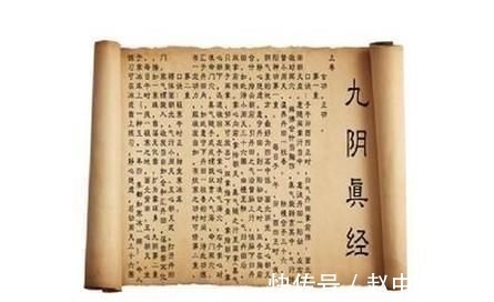 神雕侠侣$神雕中,他与独孤求败武功不相上下,培养了一个天下第一,武功吊打王重阳